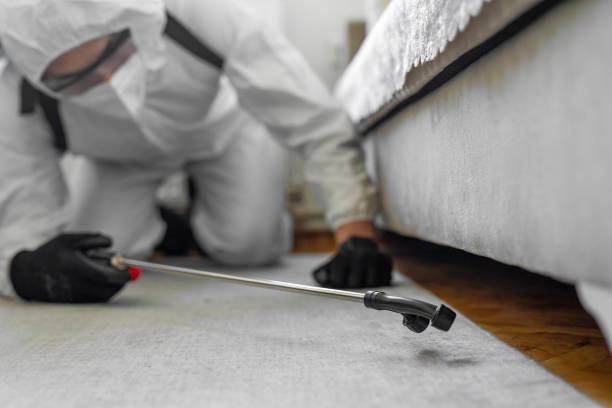 Professional Termite Control technician working in Brighton, AL