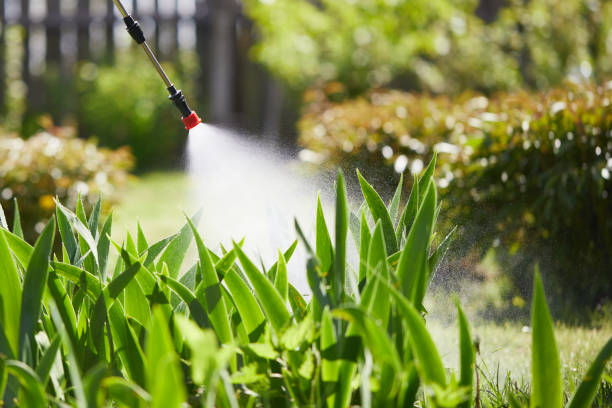 24/7 Emergency Termite Control experts in Brighton, AL